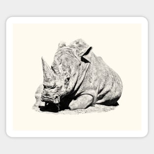 Rhinoceros Sticker